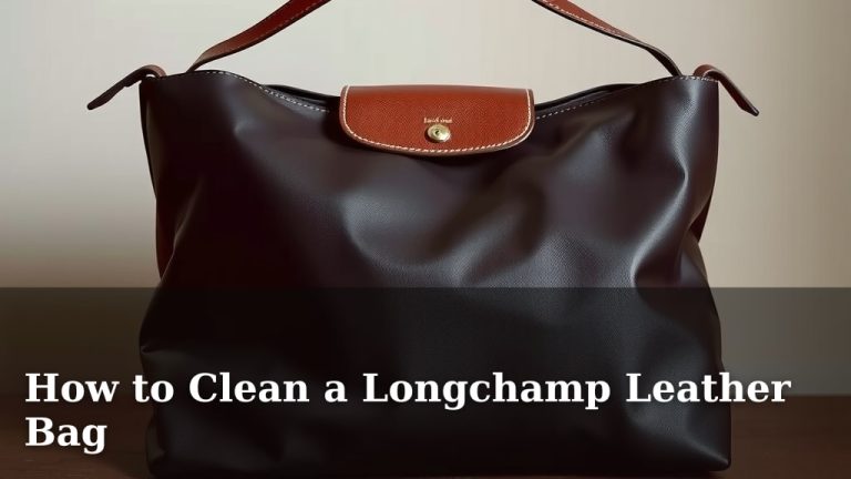 How to Clean a Longchamp Leather Bag