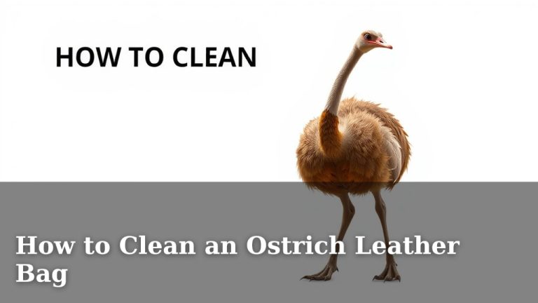 How to Clean an Ostrich Leather Bag