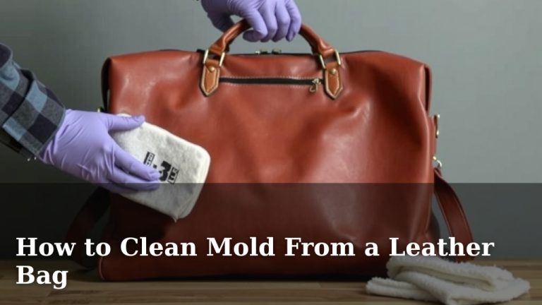 How to Clean Mold From a Leather Bag
