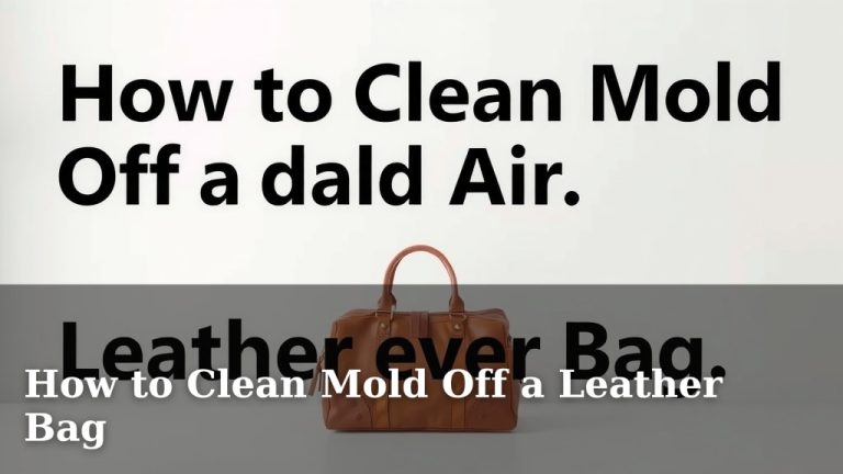 How to Clean Mold Off a Leather Bag